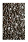 100 % Natural Black Chia Seeds for sale